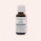 Macérât de bourgeons de Figuier Bio - Bioflore
