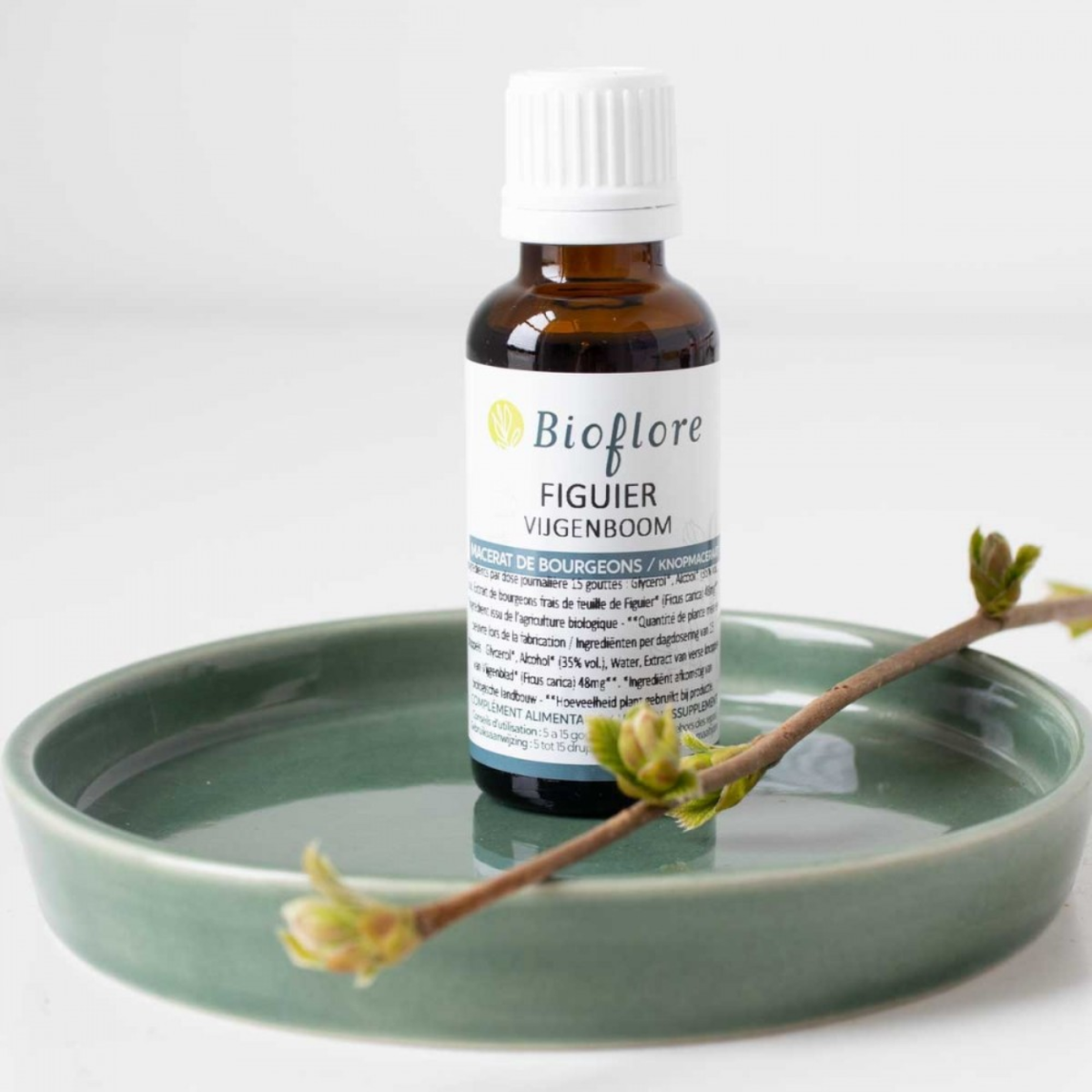 Macérât de bourgeons de Figuier Bio - Bioflore